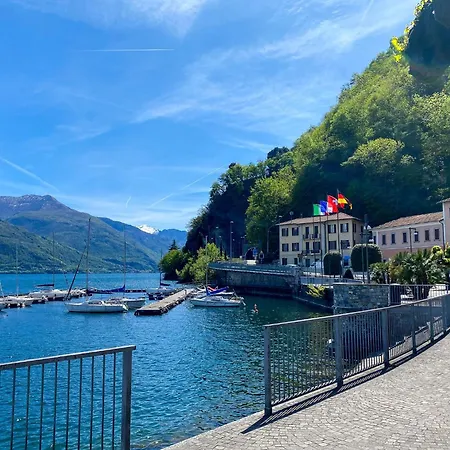 Argentina * Stazzona