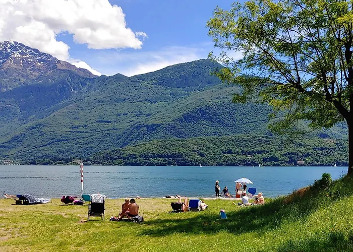 Argentina Stazzona